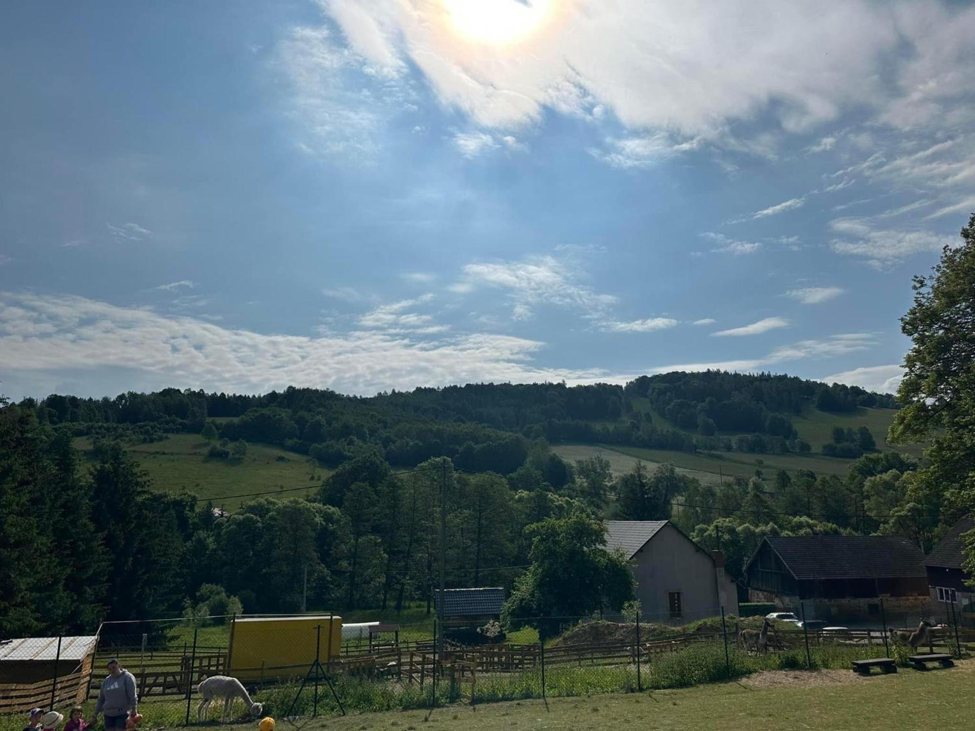 Appartement Agroturystyka Alpaka Konradow à Konradow  Extérieur photo
