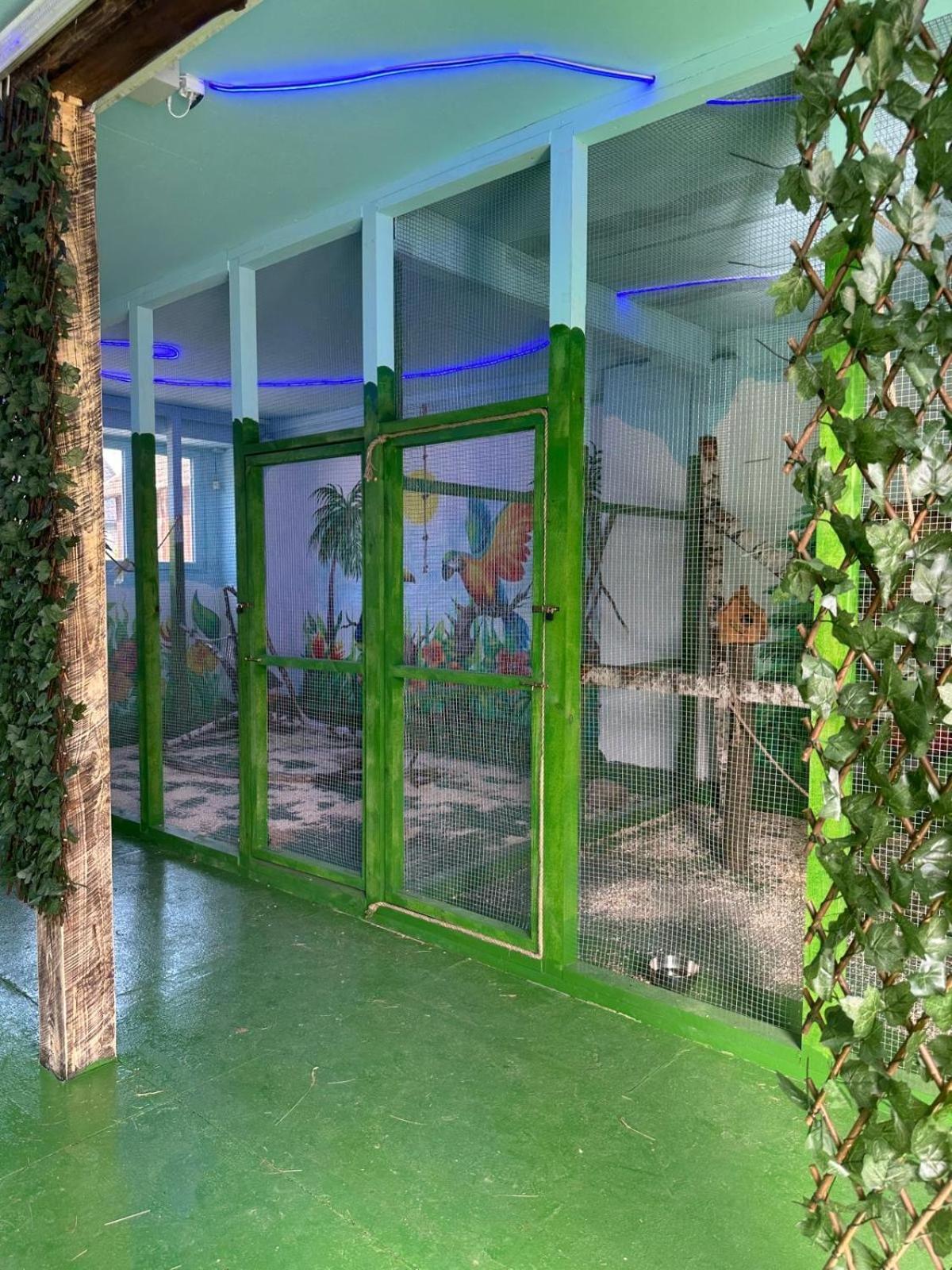 Appartement Agroturystyka Alpaka Konradow à Konradow  Extérieur photo
