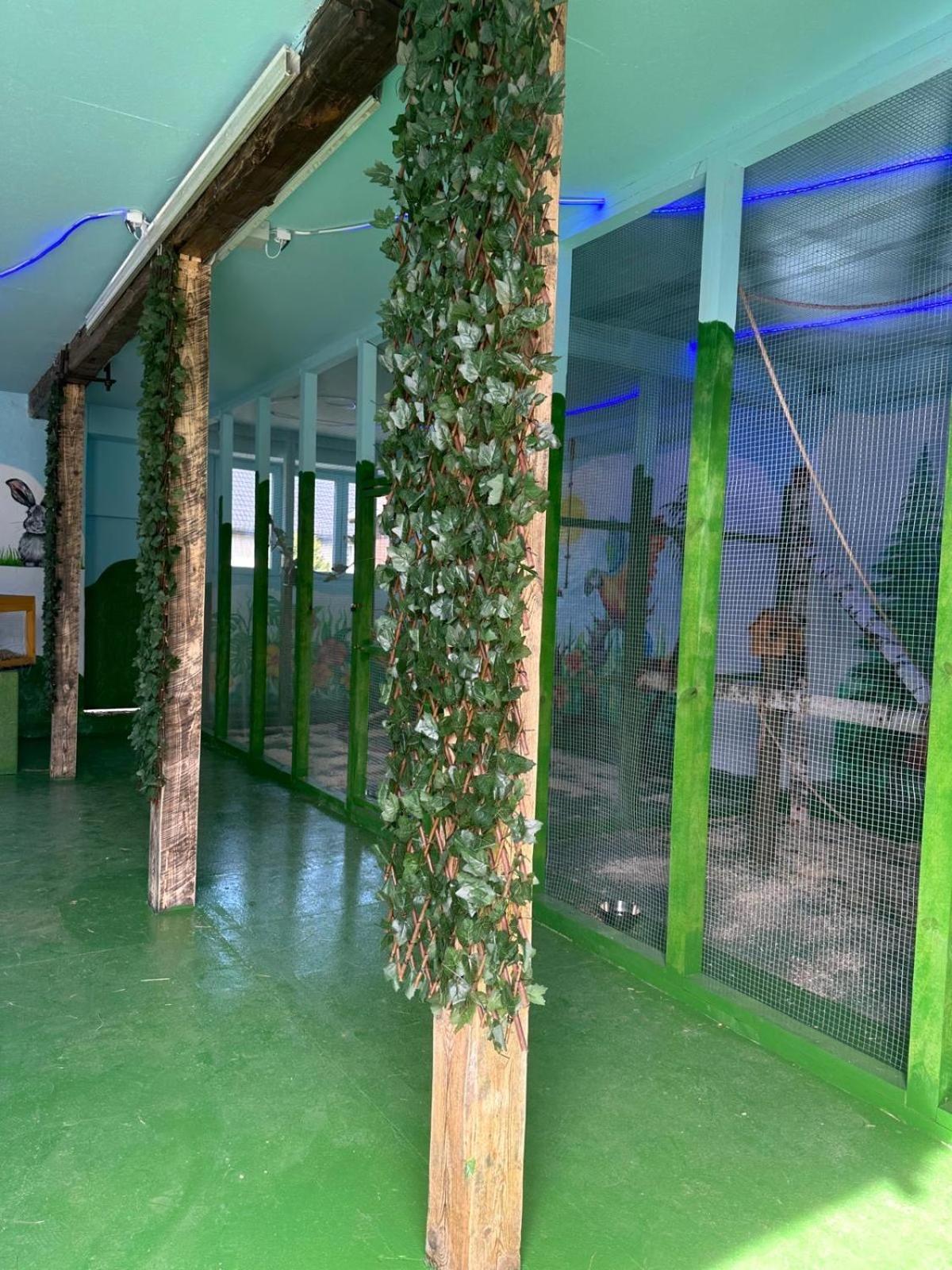 Appartement Agroturystyka Alpaka Konradow à Konradow  Extérieur photo