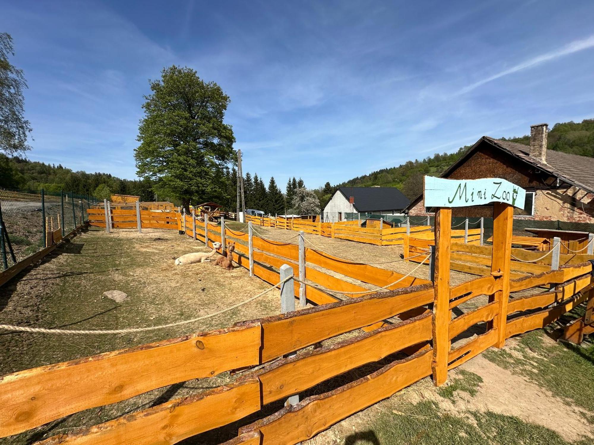 Appartement Agroturystyka Alpaka Konradow à Konradow  Extérieur photo